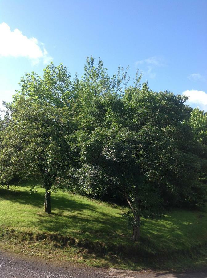 Cwmtwrch Cottage 카마던 외부 사진